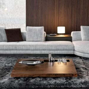Boteco Coffee Table