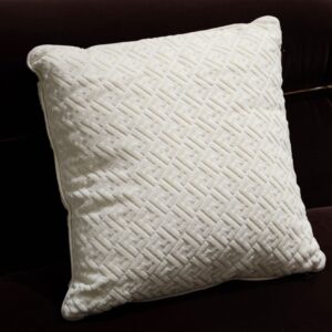 FF Cushion